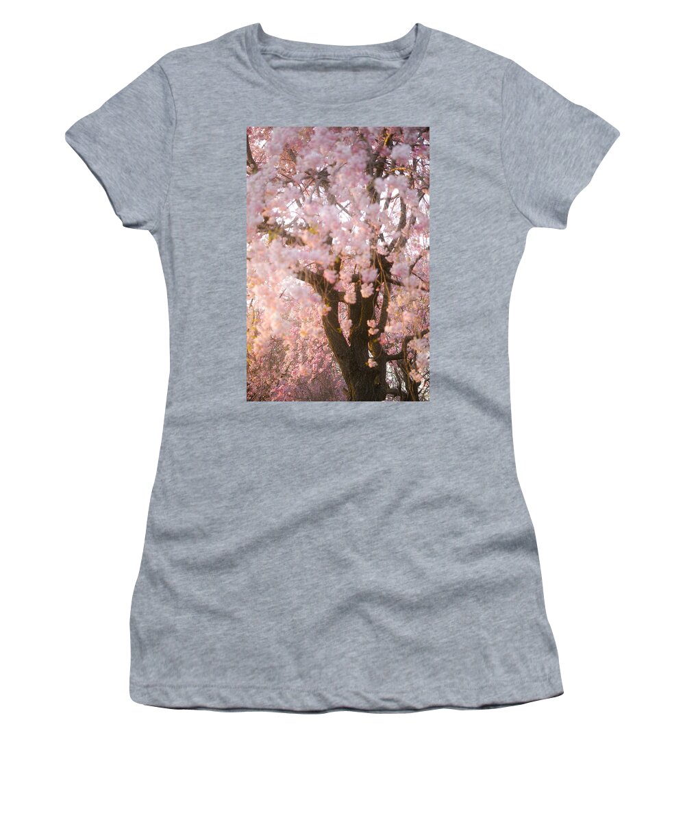 Cherryblossoms Women's T-Shirt featuring the photograph Cherry blossoms#11 by Yasuhiro Fukui