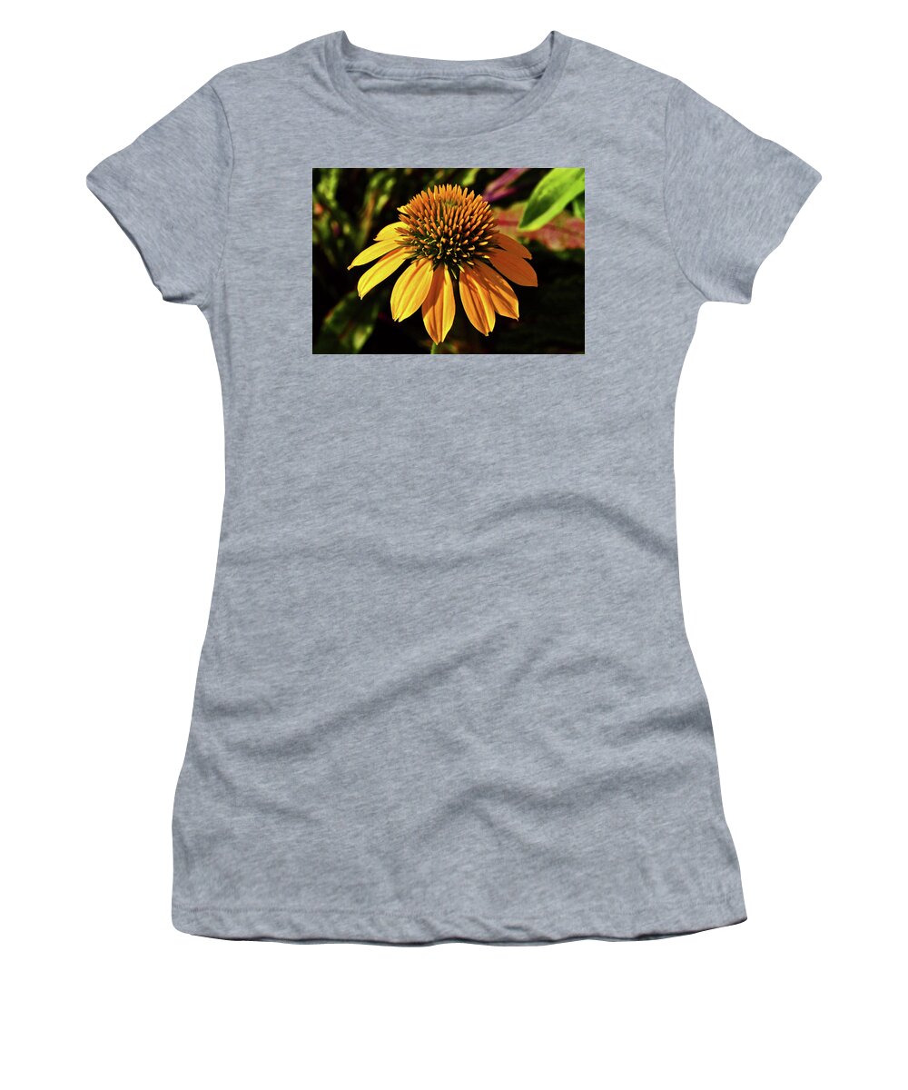 Flower Women's T-Shirt featuring the photograph Cheyenne Spirit Coneflower - Harvest Moon 001 by George Bostian