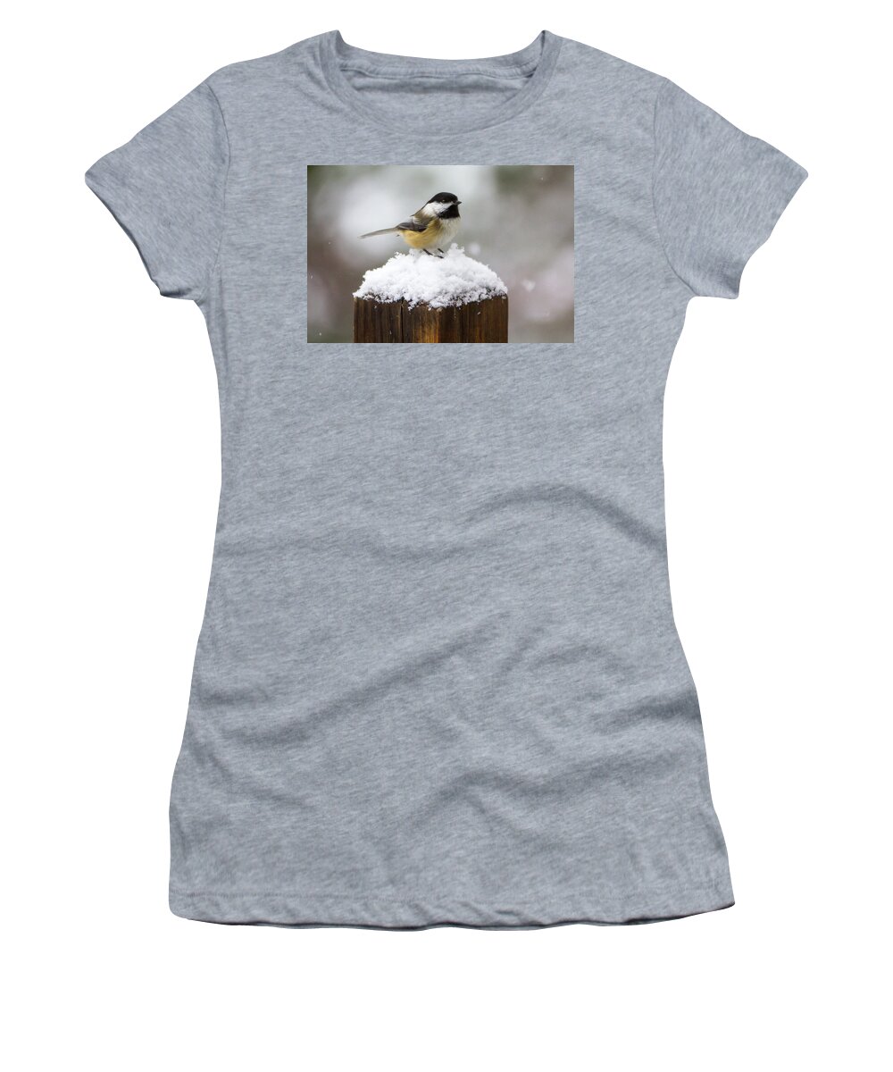Bird Women's T-Shirt featuring the photograph Chickadee in the Snow by Darryl Hendricks