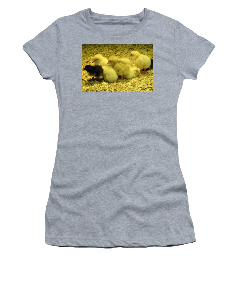 Baby Women's T-Shirt featuring the photograph Chicks by Laurel Best