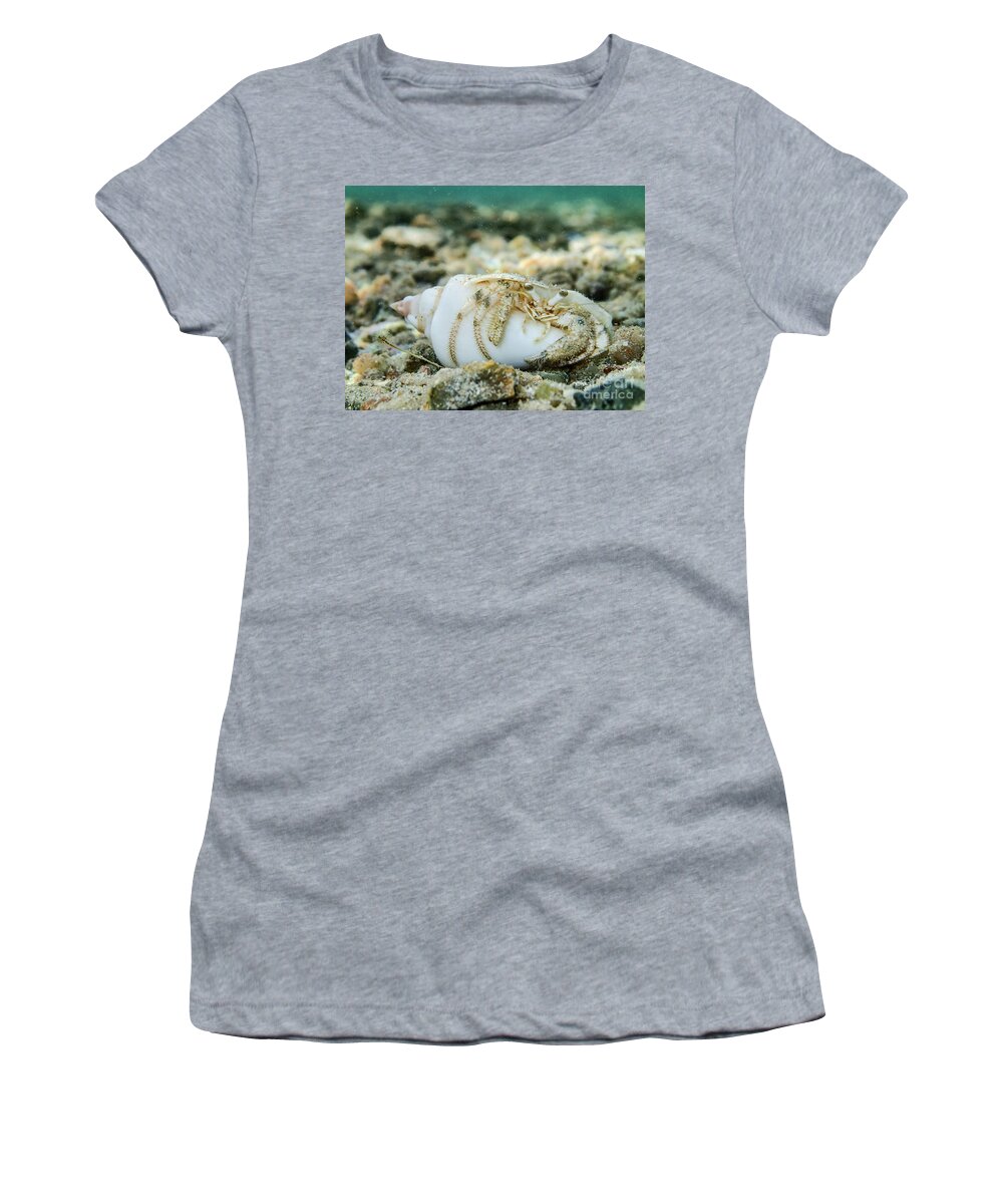 Animal Women's T-Shirt featuring the photograph Chilling by Hannes Cmarits