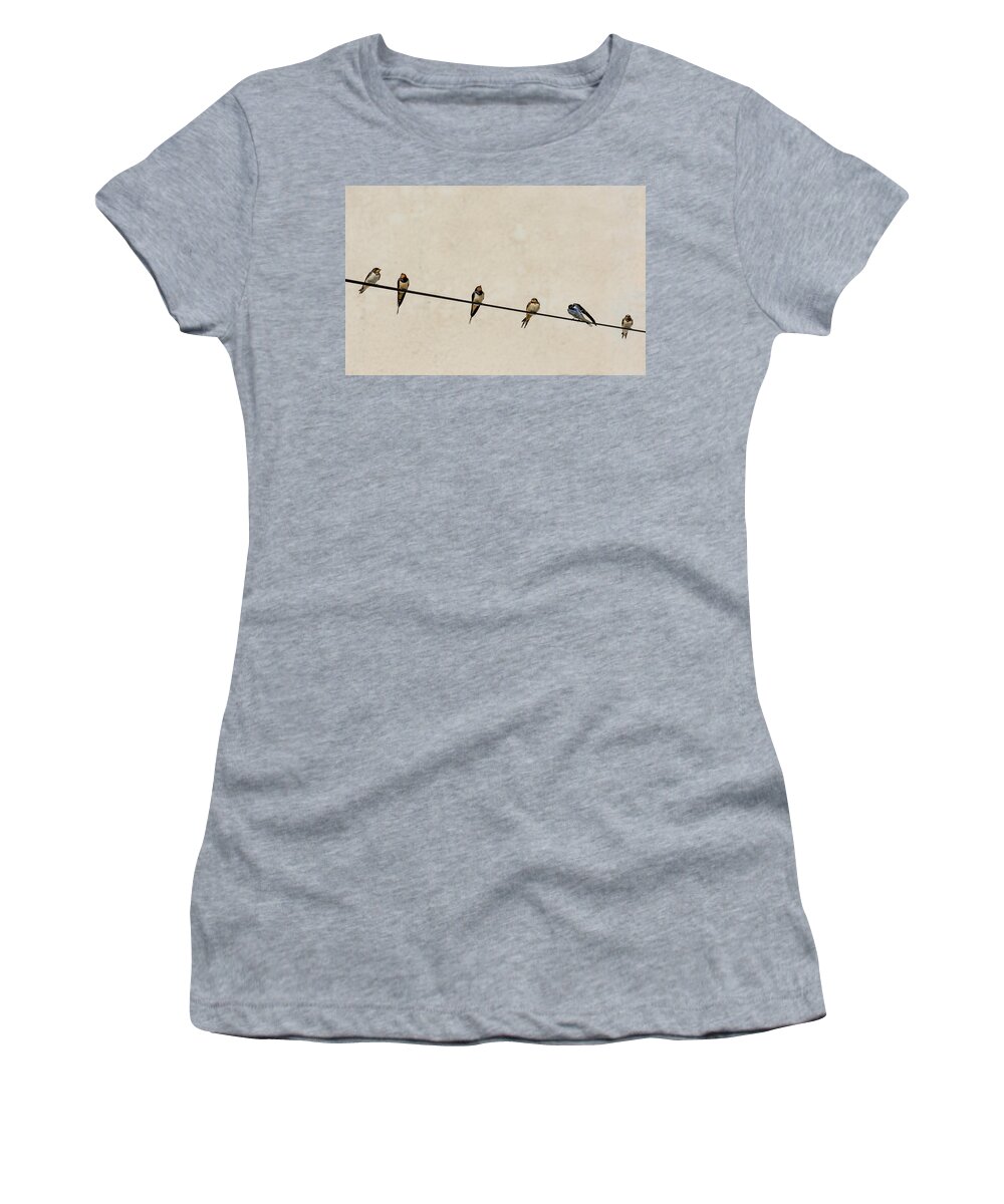 Swallow Women's T-Shirt featuring the photograph Chimney Swallows On Wire by Andreas Berthold