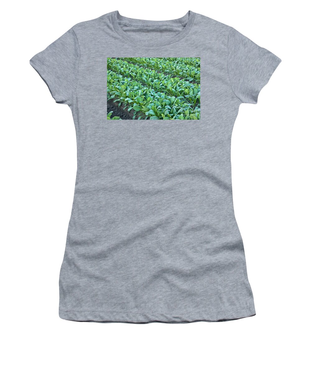 Vegetable Women's T-Shirt featuring the photograph Chinese Vegetable, Yu Choy Sum by Inga Spence