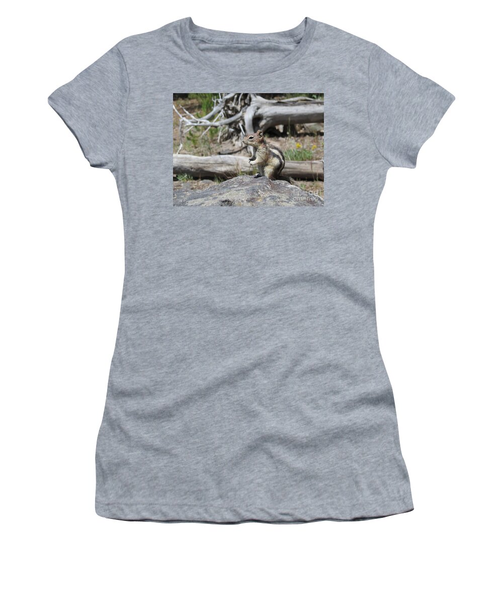Chipmunk Women's T-Shirt featuring the photograph Chipmunk at Yellowstone by Ausra Huntington nee Paulauskaite