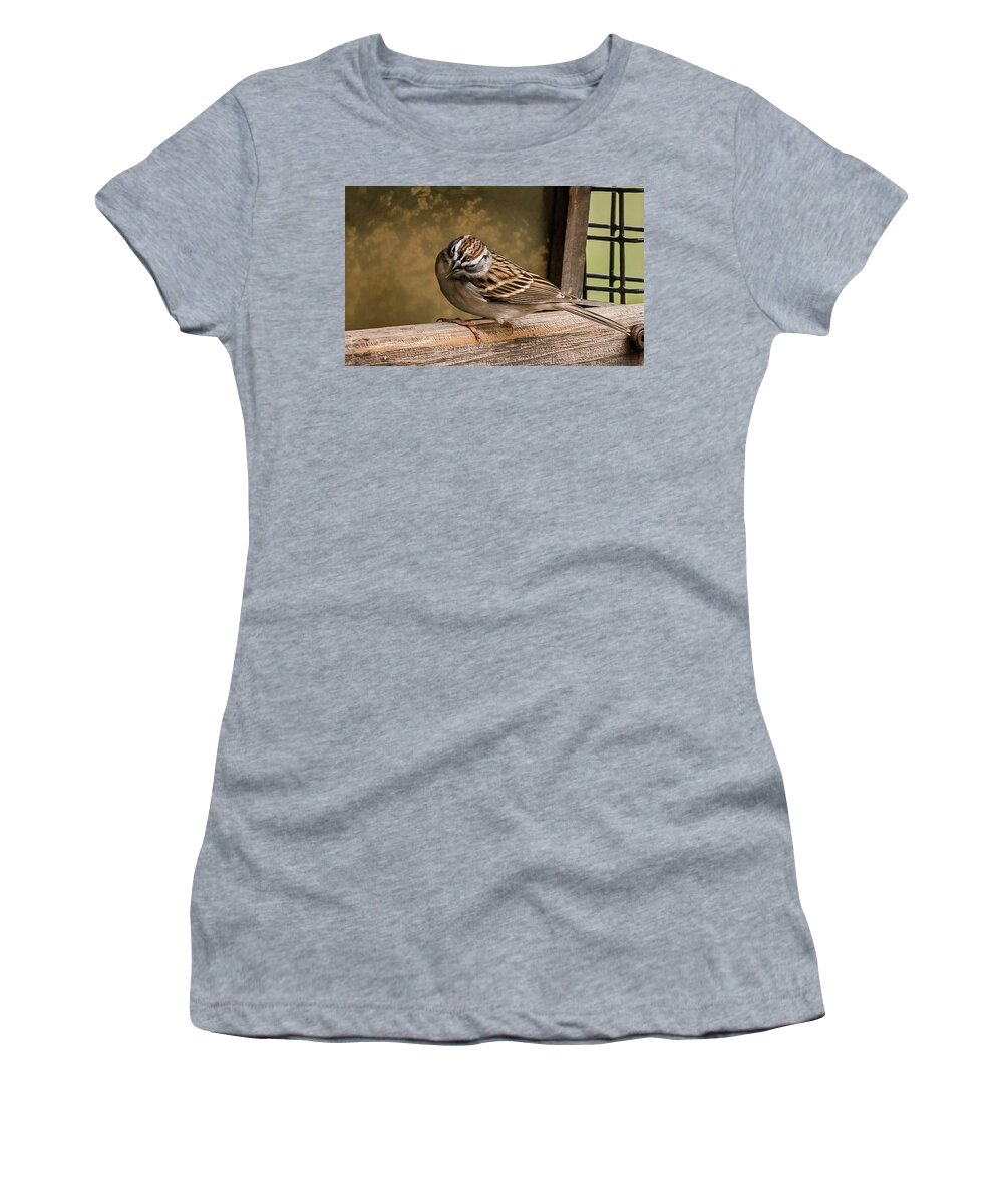 Birds Women's T-Shirt featuring the photograph Chipping Sparrow by Cynthia Wolfe