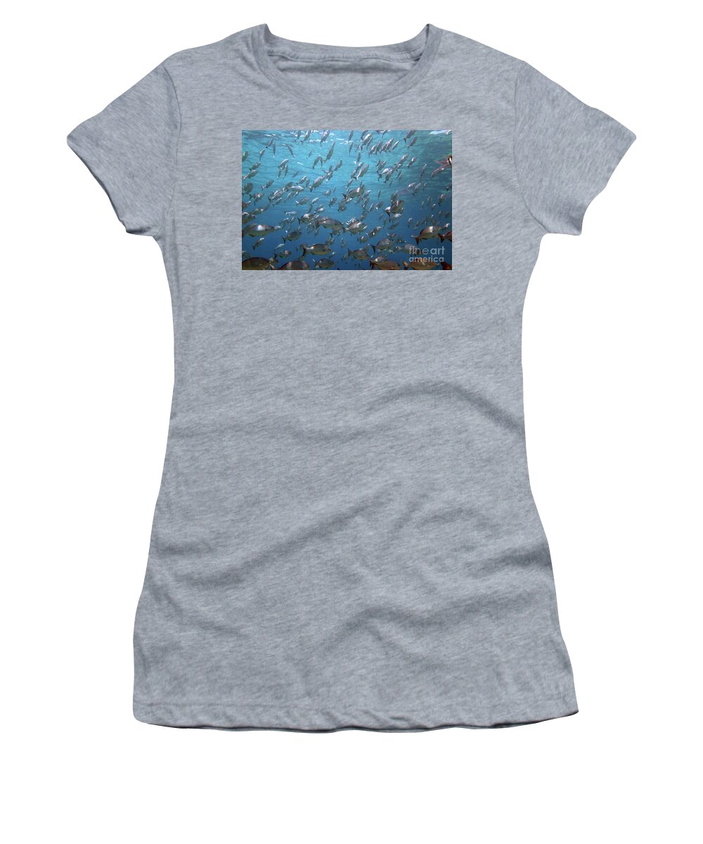 Unnderwater Women's T-Shirt featuring the photograph Chub Convention by Daryl Duda