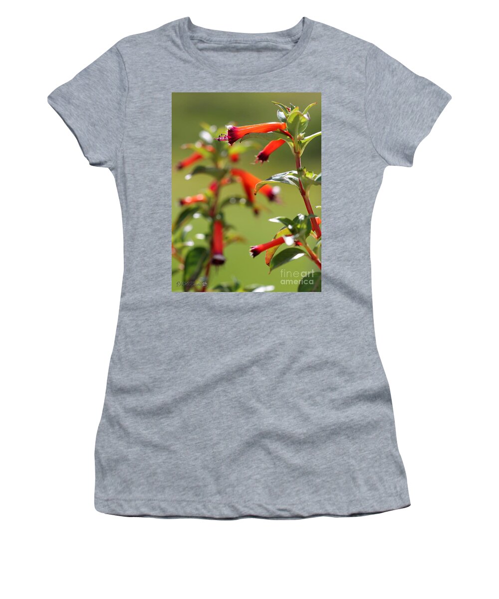 Mccombie Women's T-Shirt featuring the photograph Cigar Flower named Dynamite by J McCombie