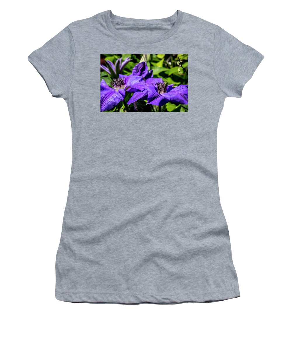 Flower Women's T-Shirt featuring the digital art Clematis at Spring by Ed Stines
