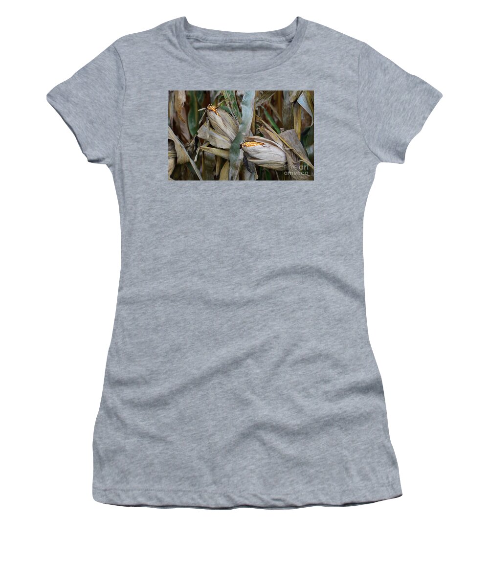 Farm Agriculture Corn Field Harvest Turning Turn Women's T-Shirt featuring the photograph Close to Harvest by Ken DePue