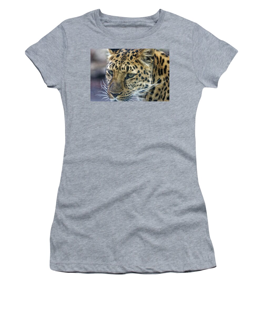 Leopard Women's T-Shirt featuring the photograph Close up of Leopard by Peter Ponzio