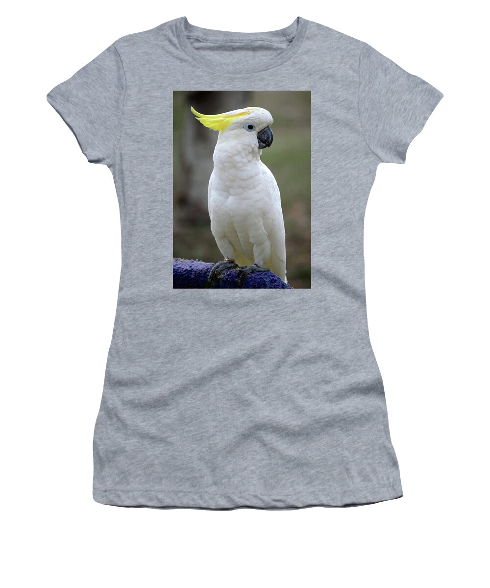 Cockatoo Women's T-Shirt featuring the photograph Cocky-too by DigiArt Diaries by Vicky B Fuller