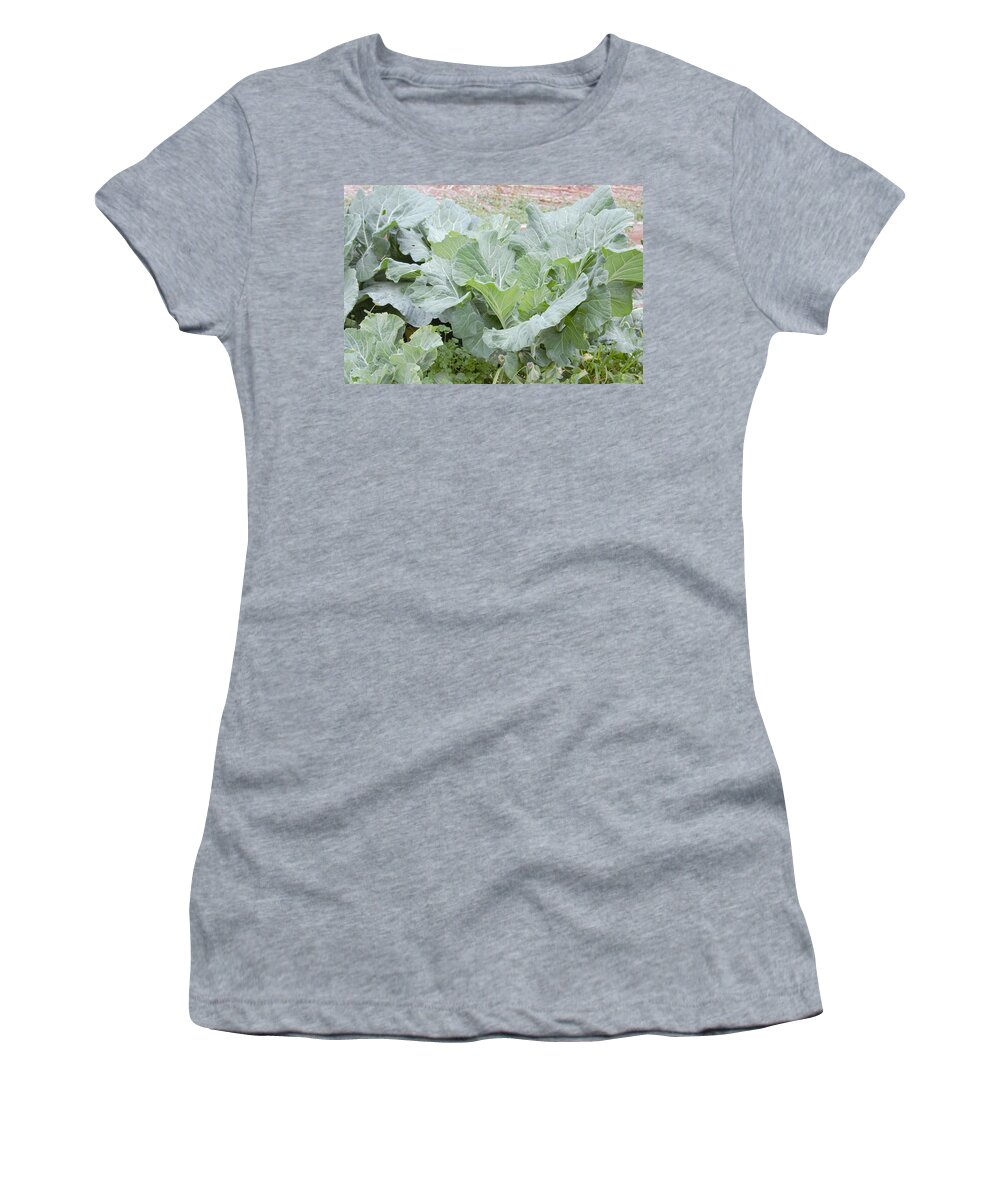 Plant Women's T-Shirt featuring the photograph Collards by Ali Baucom