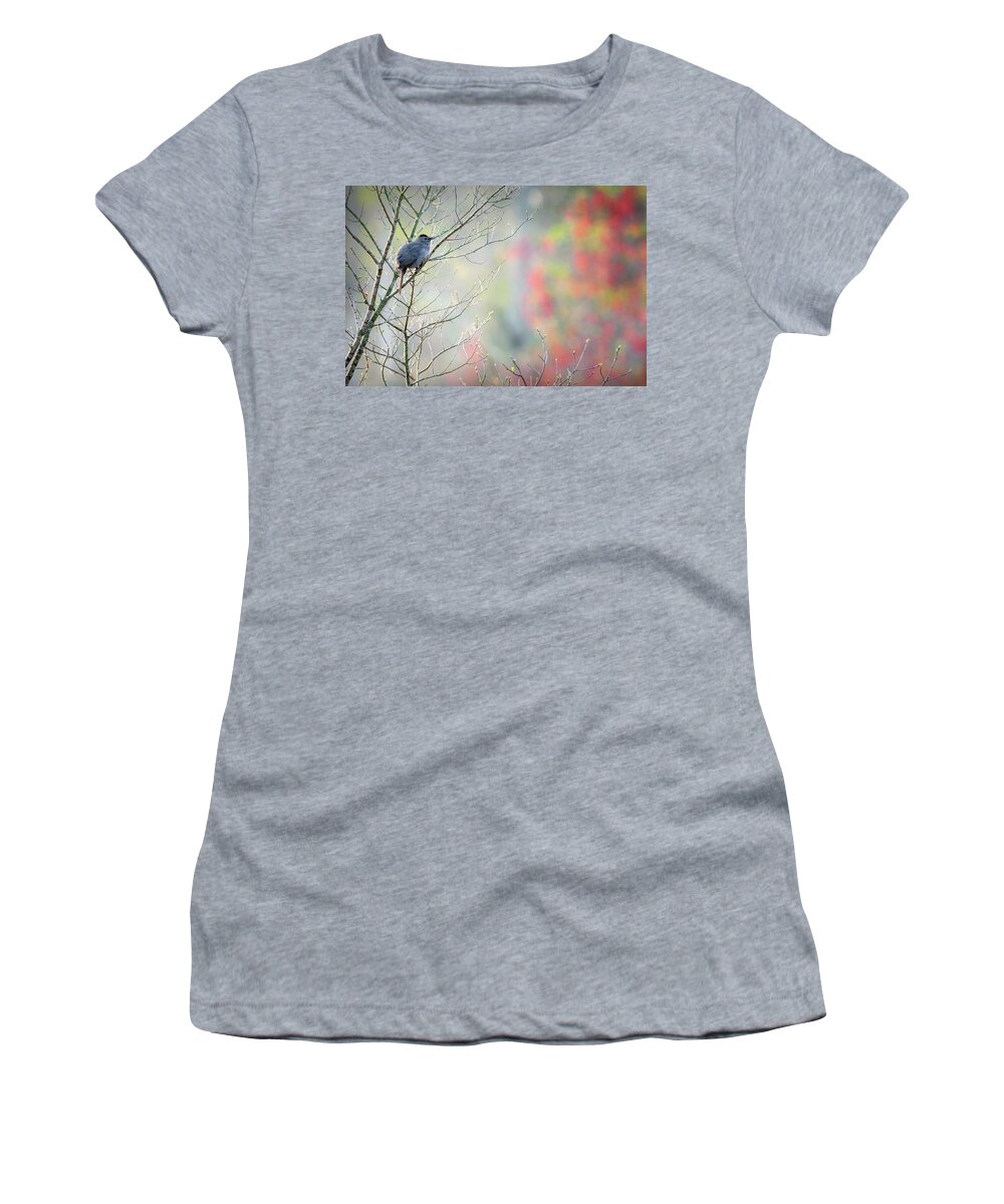 Catbird Women's T-Shirt featuring the photograph Color My World by Bill Wakeley