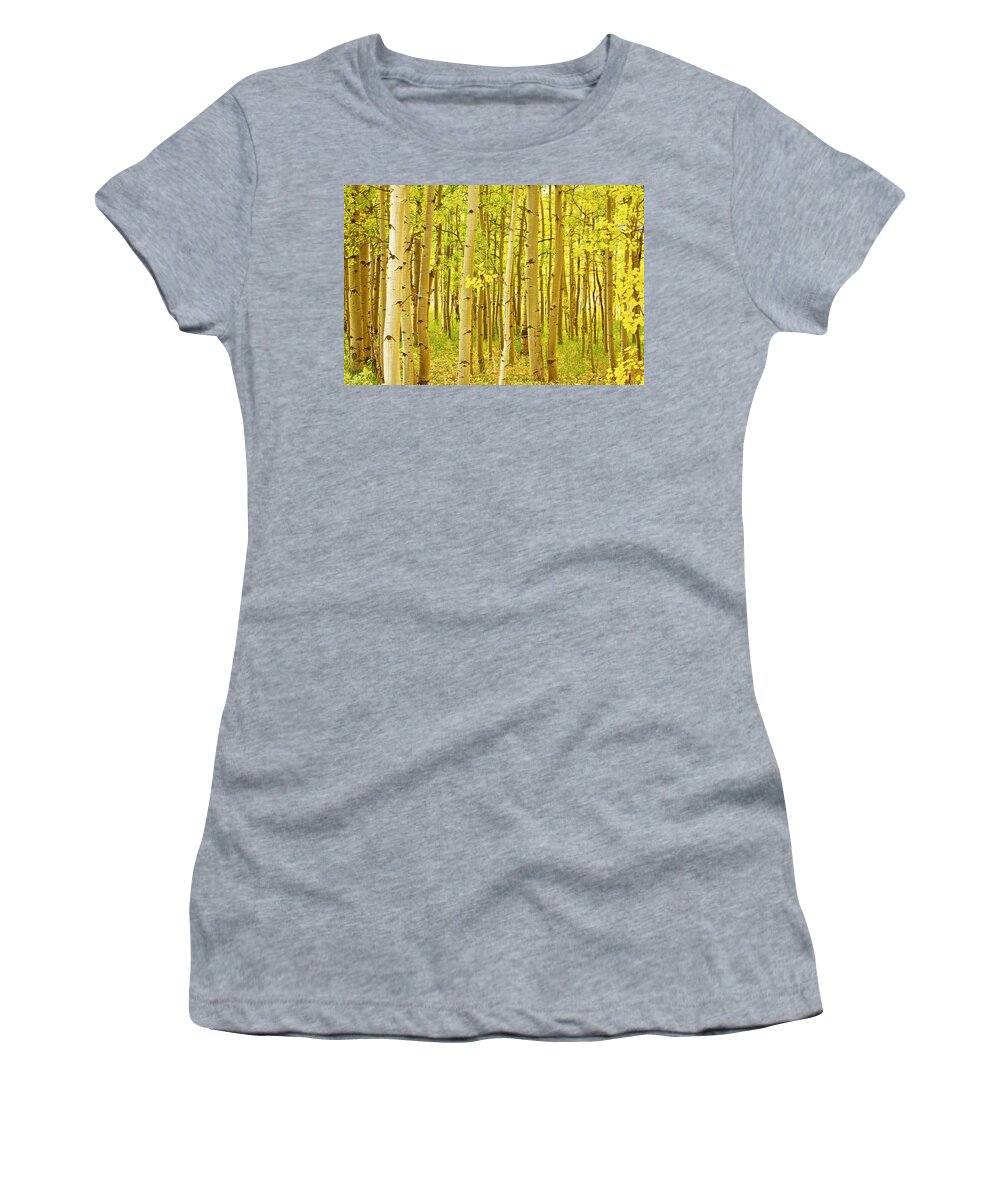 Autumn Women's T-Shirt featuring the photograph Colorado Fall Foliage Aspen Landscape by James BO Insogna