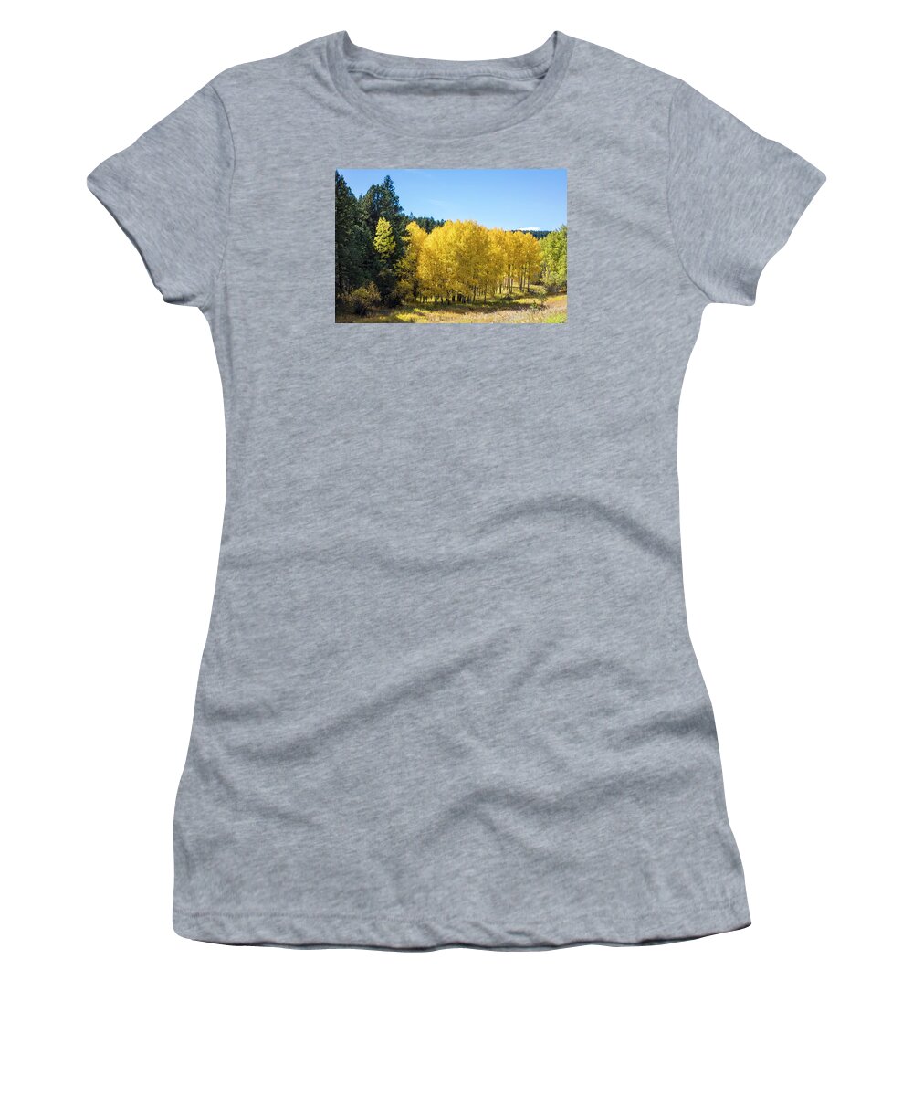 Landscape Women's T-Shirt featuring the photograph Colorado Golden Aspen by Lorraine Baum