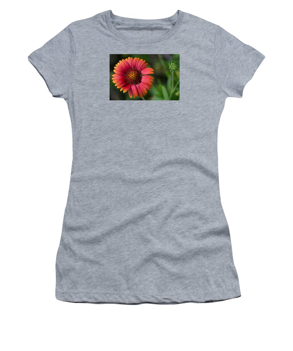 Nature Women's T-Shirt featuring the photograph Colorful Indian Blanket by Kenneth Albin