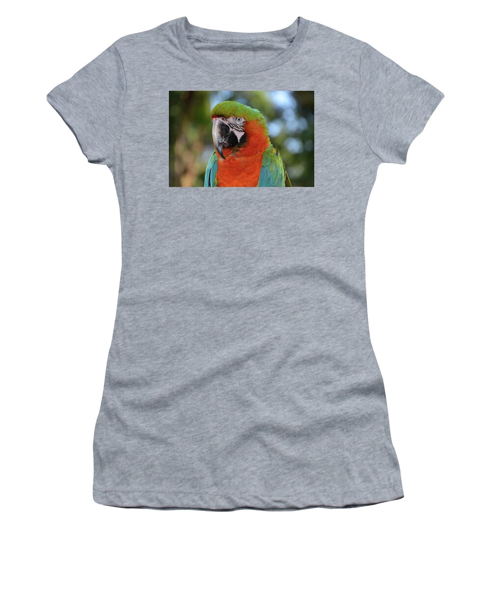 Macaw Women's T-Shirt featuring the photograph Colorful Macaw Looking Left by Artful Imagery