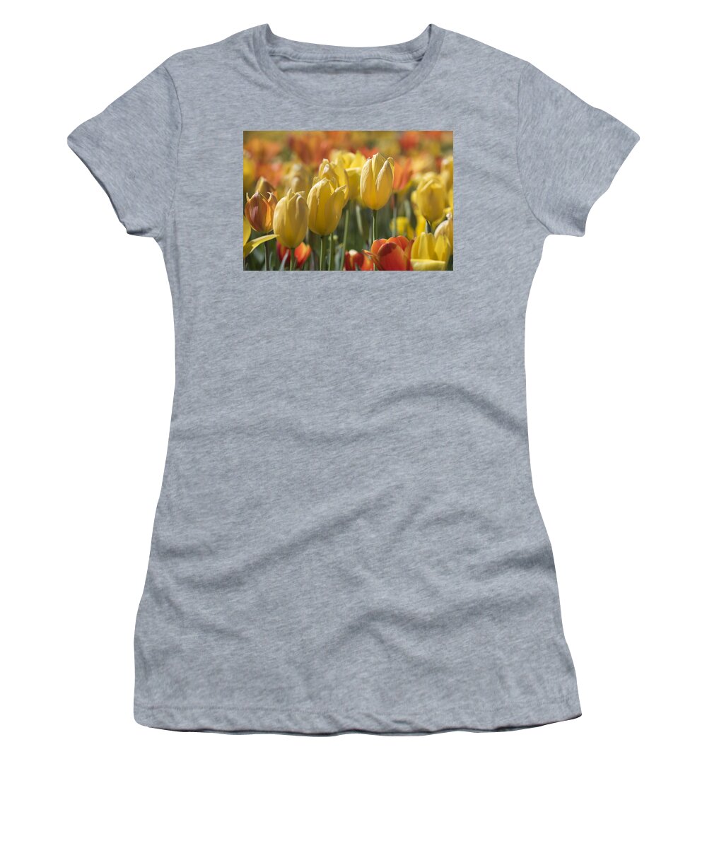 Tulipa Women's T-Shirt featuring the photograph Coming up Tulips by Jeanne May