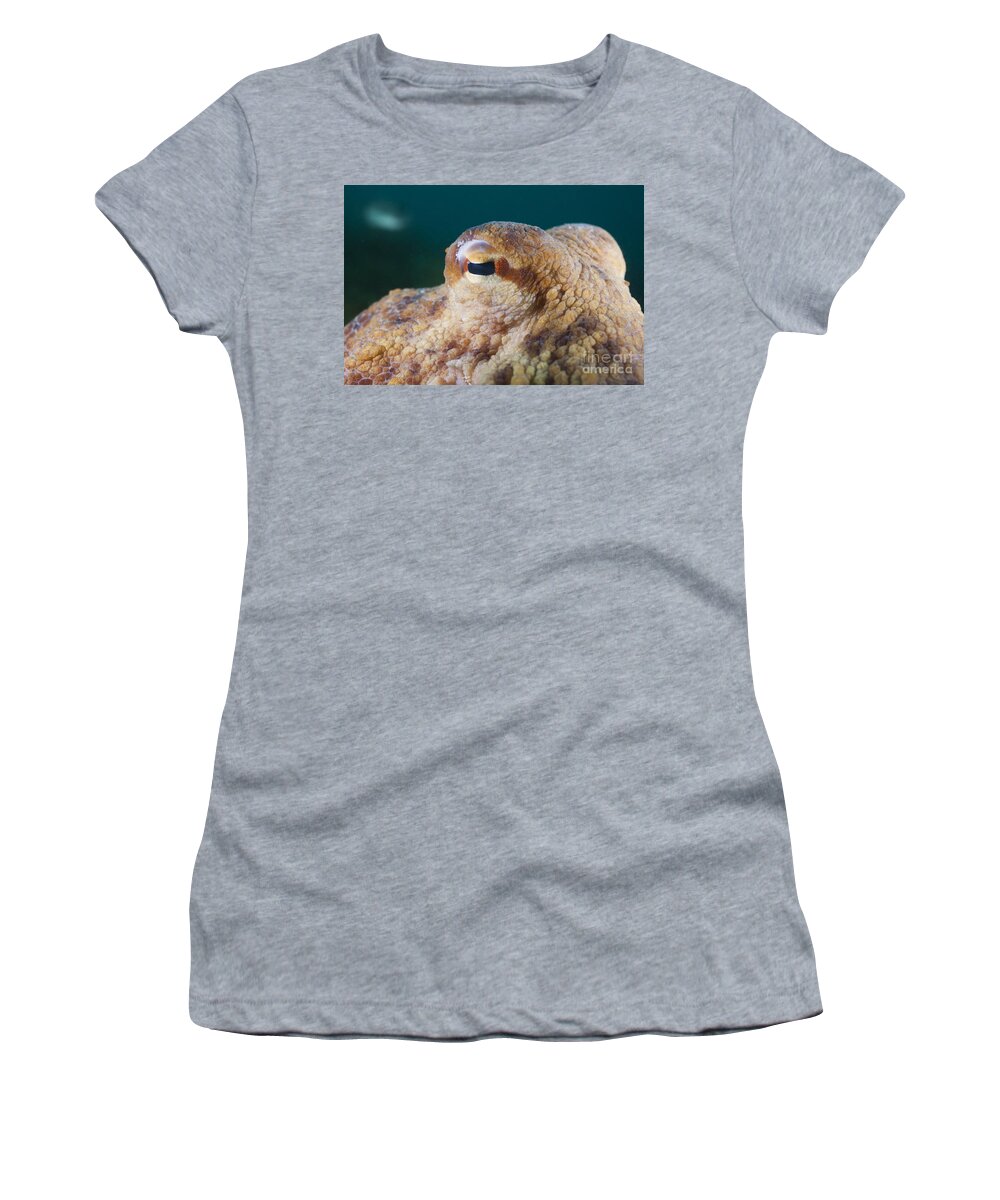 Common Octopus Women's T-Shirt featuring the photograph Common Octopus Eye by Reinhard Dirscherl