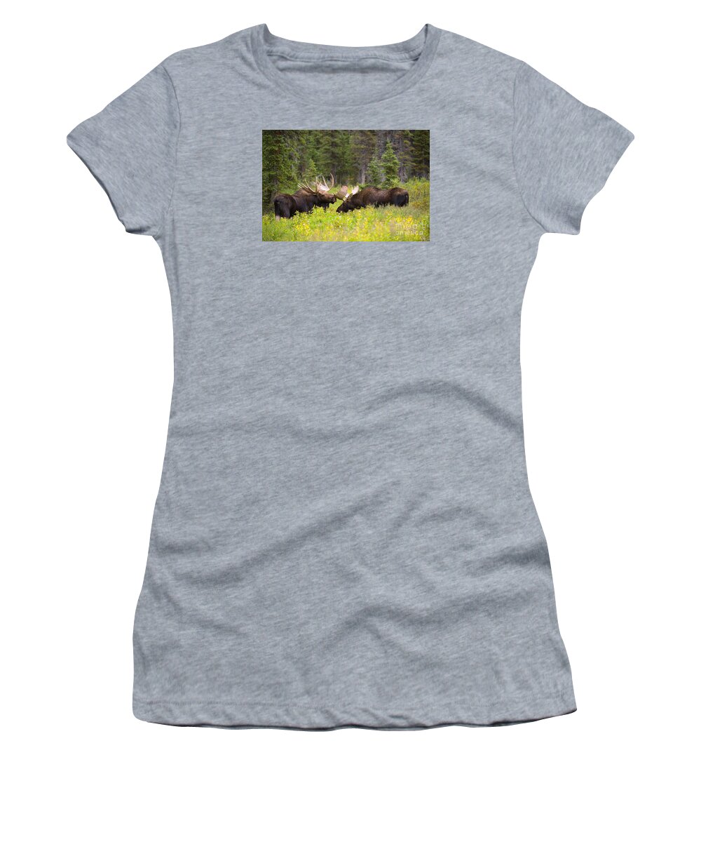 Bull Moose Women's T-Shirt featuring the photograph The Competition by Aaron Whittemore