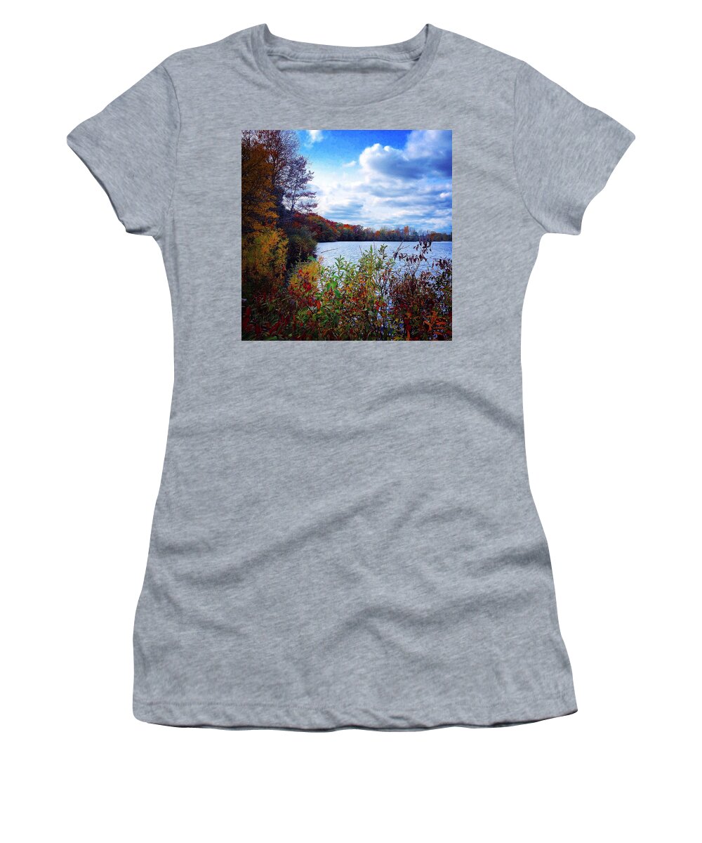 Alma Women's T-Shirt featuring the photograph Conservation Park and Pine River in the Fall by Chris Brown