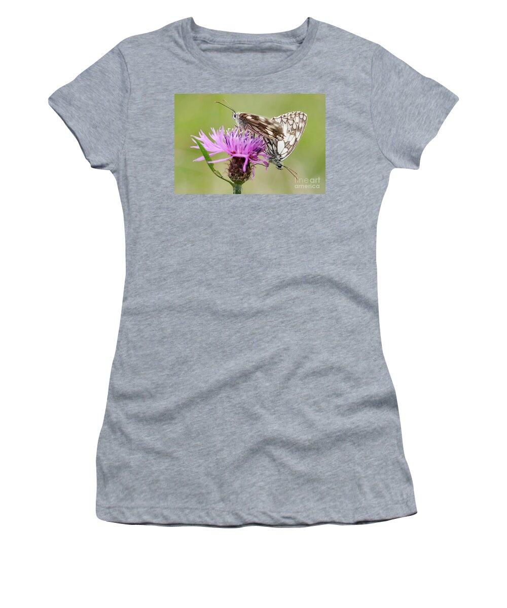 Insect Women's T-Shirt featuring the photograph Contact - Butterflies on the bloom by Michal Boubin