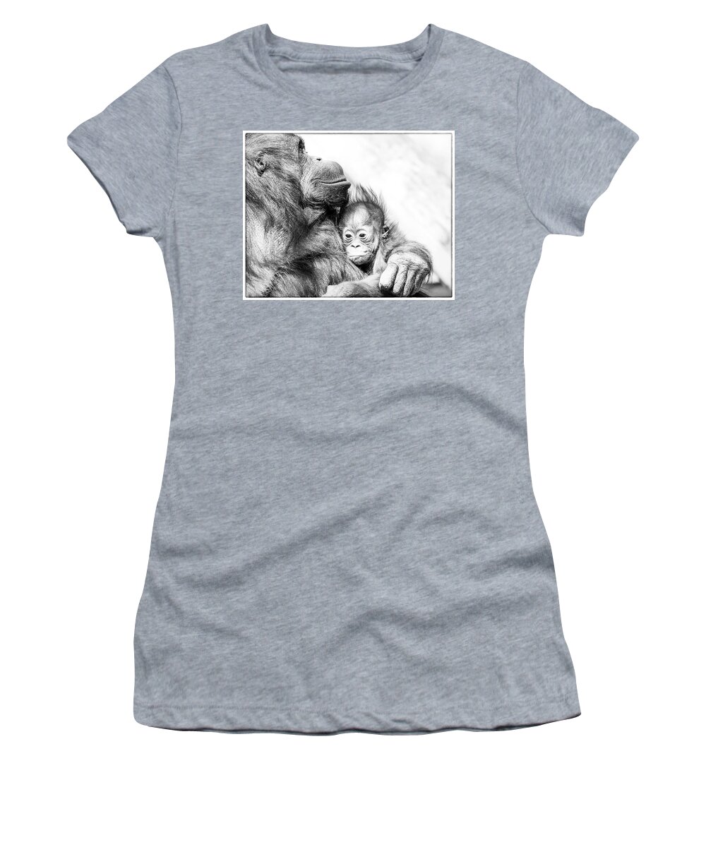 Crystal Yingling Women's T-Shirt featuring the photograph Contentment by Ghostwinds Photography