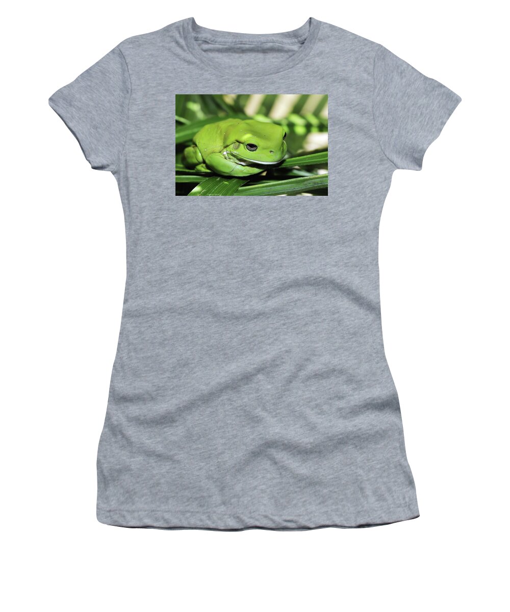 Green Frog Photography Women's T-Shirt featuring the photograph Cool green frog 001 by Kevin Chippindall