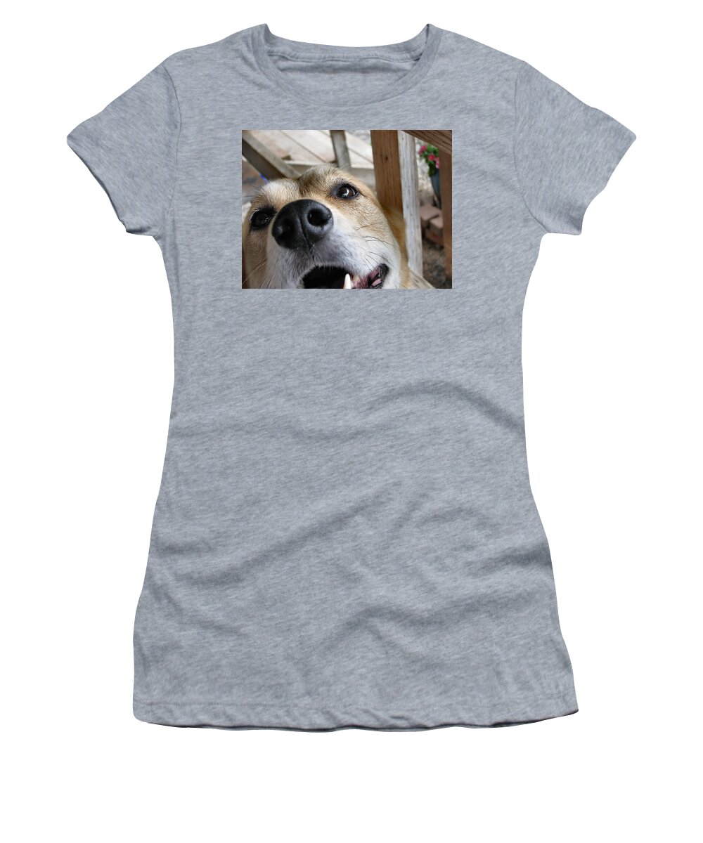 Dog Women's T-Shirt featuring the photograph Coookiesss? by Rory Siegel