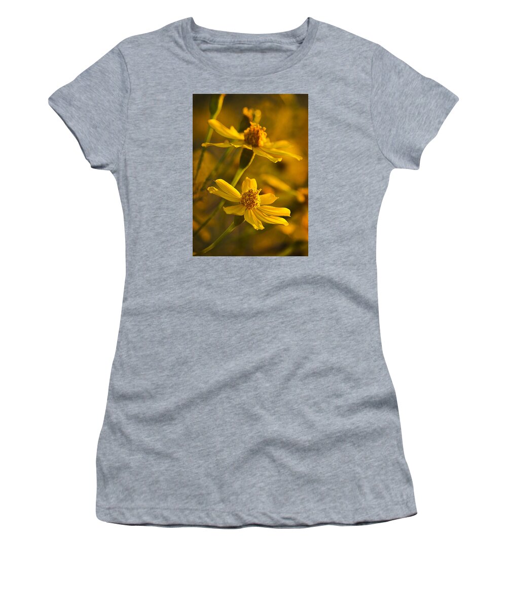Coreopsis Verticillata Women's T-Shirt featuring the photograph Coreopsis verticillata 3 by Morgan Wright