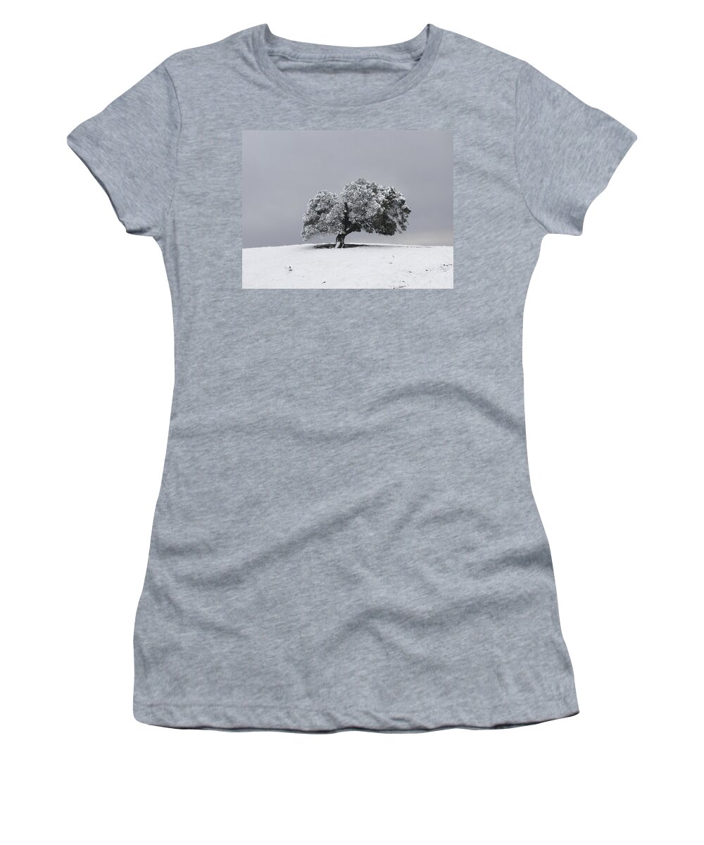 Tree Women's T-Shirt featuring the photograph Corral Hollow Tree in Snow by Karen W Meyer