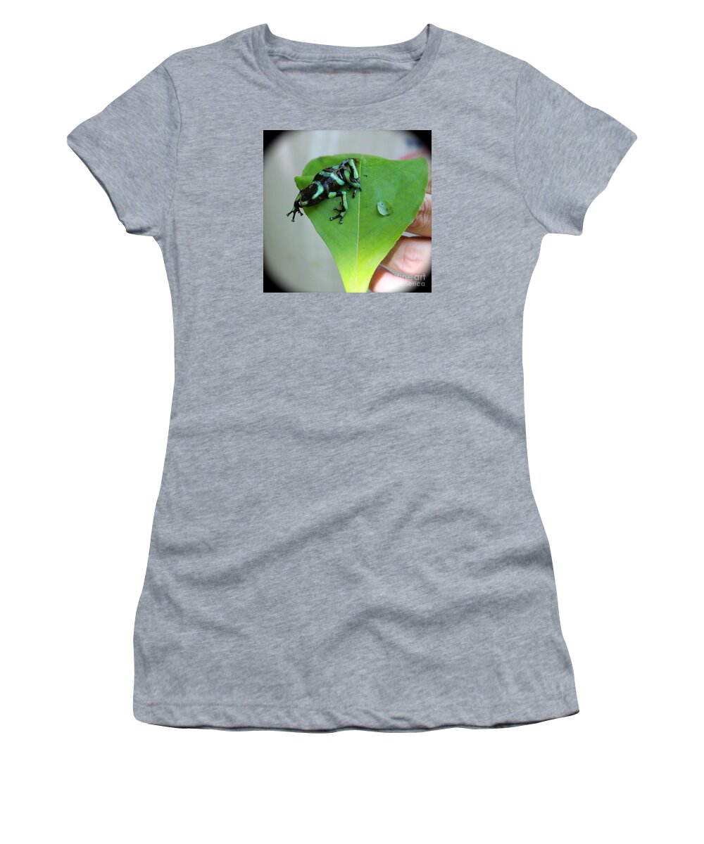 Costa Rican Women's T-Shirt featuring the photograph Costa Rican Poison Dart Frog by Alice Terrill
