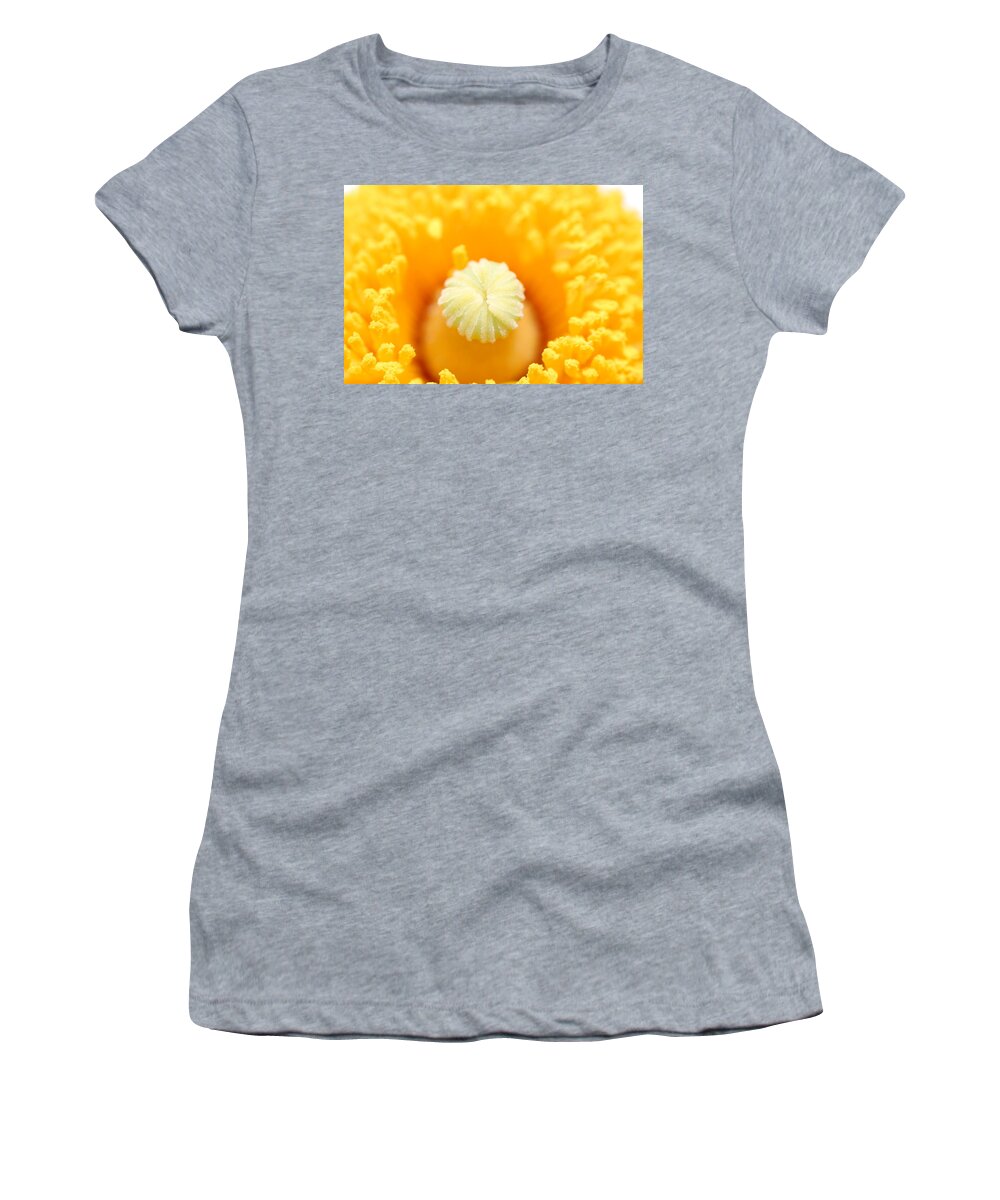 Flower Women's T-Shirt featuring the photograph Coulter's Poppy 5 by Amy Fose