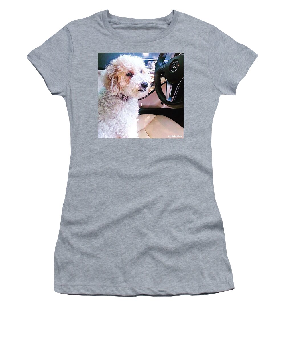 Wheel Women's T-Shirt featuring the photograph Cousin Theo Is Behind The #wheel And by Austin Tuxedo Cat