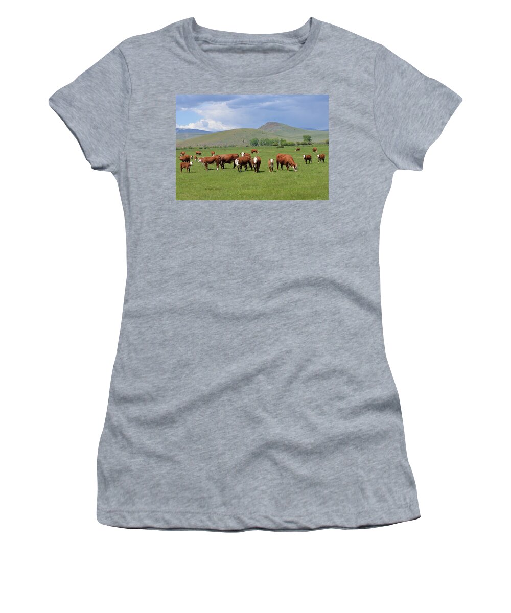 Cows Women's T-Shirt featuring the photograph Cows and Calves by Kae Cheatham