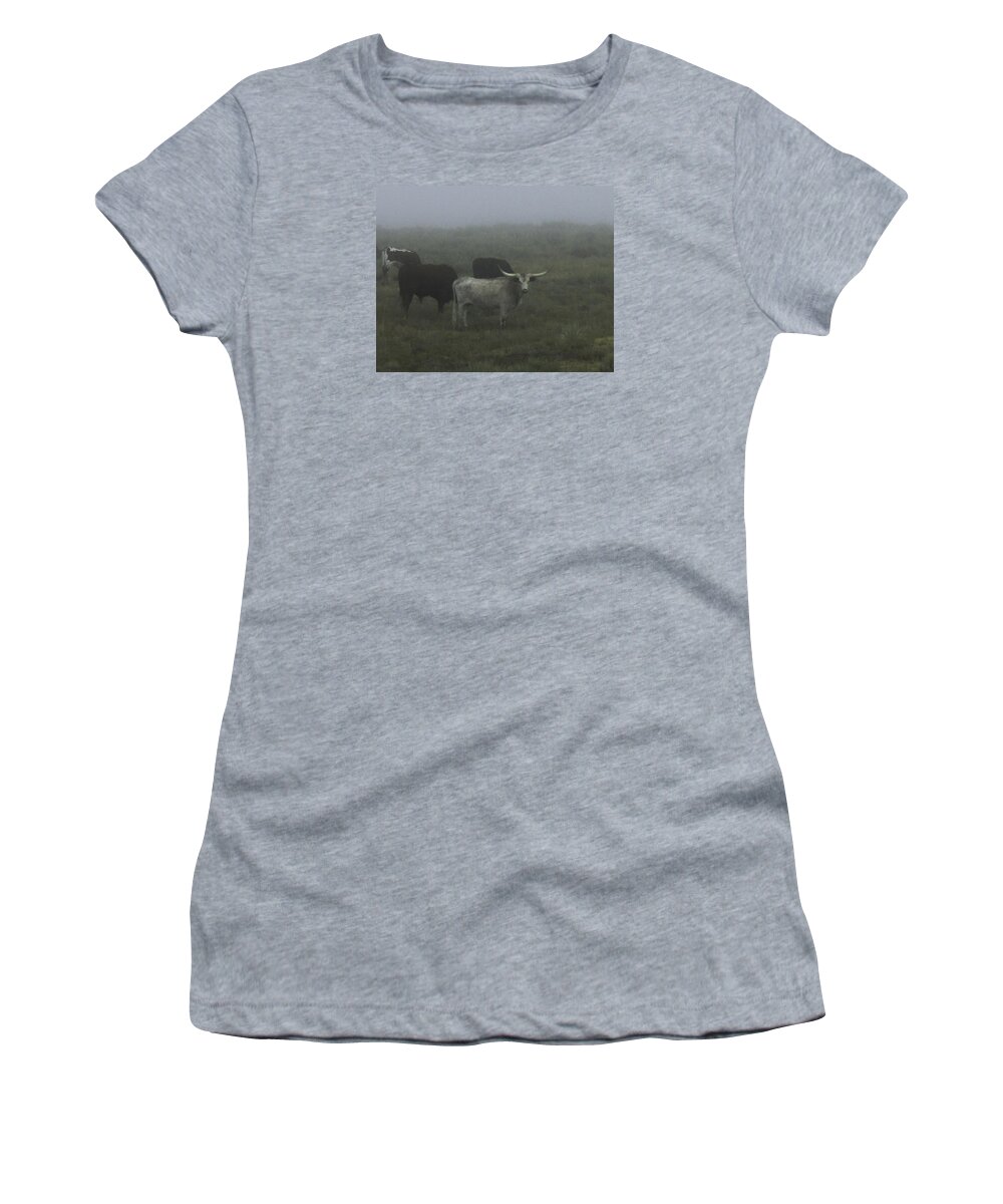 Longhorns Women's T-Shirt featuring the photograph Cows in the Fog by Sandra Dalton