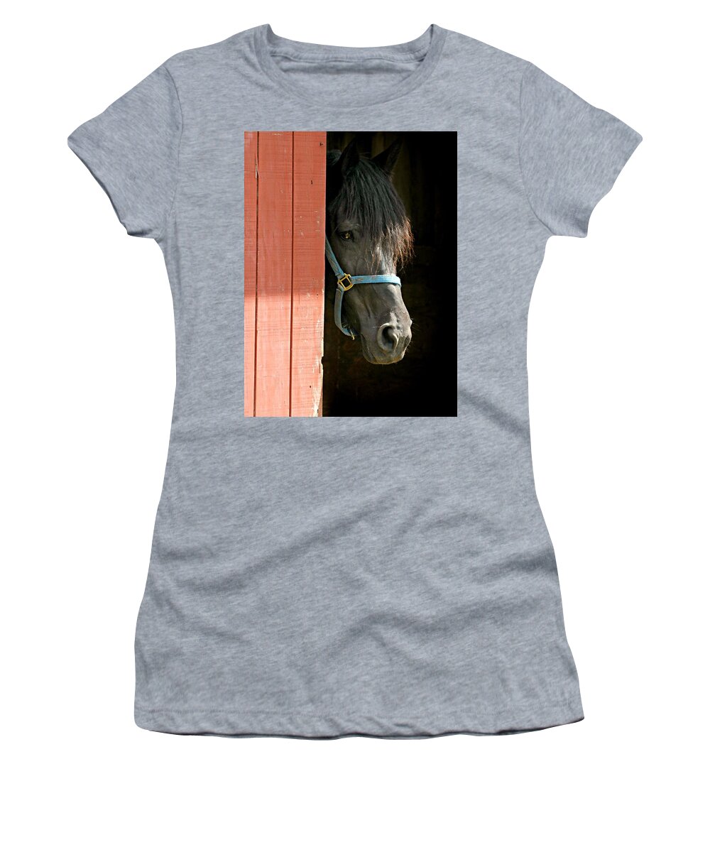 Coy Women's T-Shirt featuring the photograph Coy Boy by Diana Angstadt