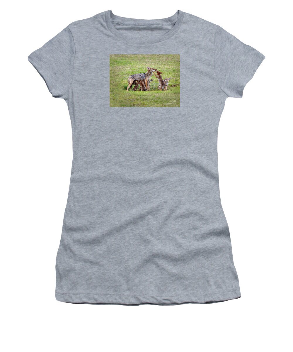 Coyote Family Women's T-Shirt featuring the photograph Coyote Mom and Pups by Joanne West