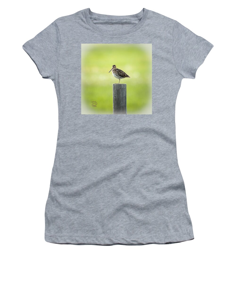  Women's T-Shirt featuring the photograph Common Snipe by Daniel Hebard