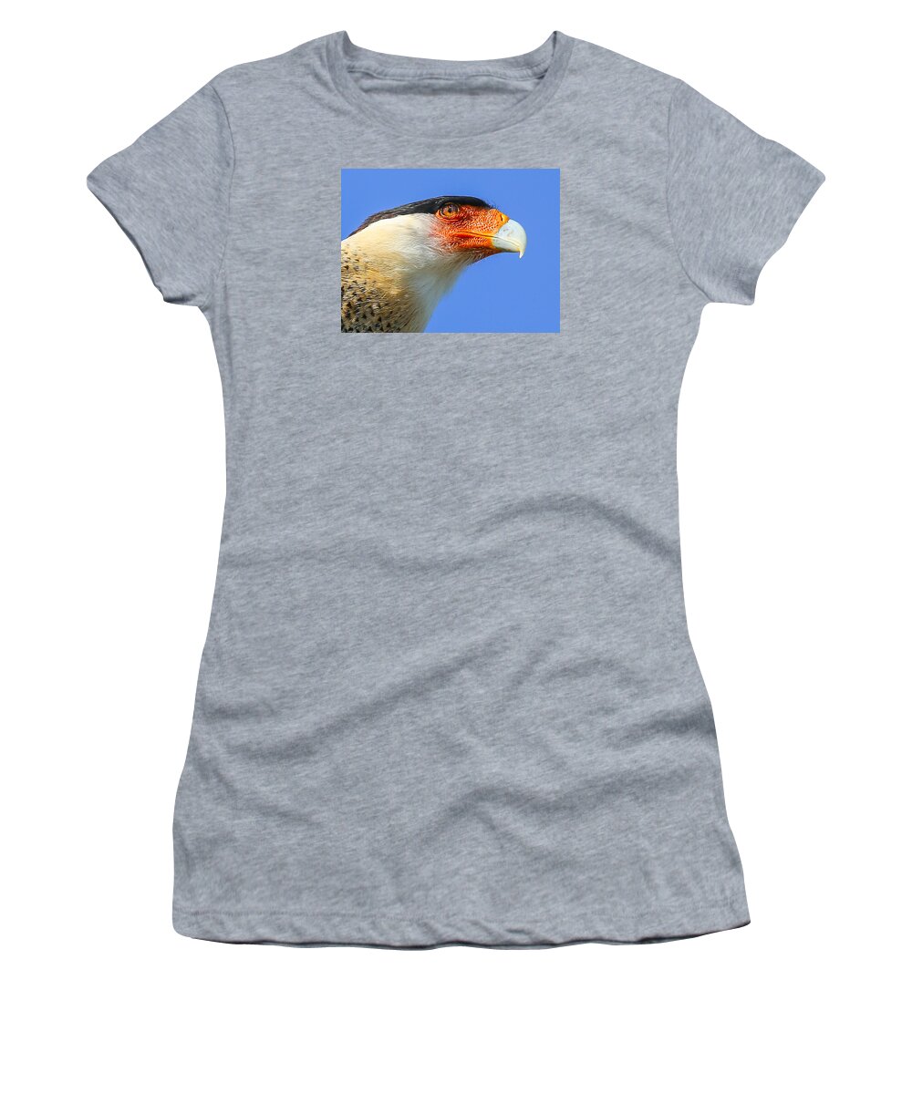 Birds Women's T-Shirt featuring the photograph Crested Caracara Face by Dart Humeston
