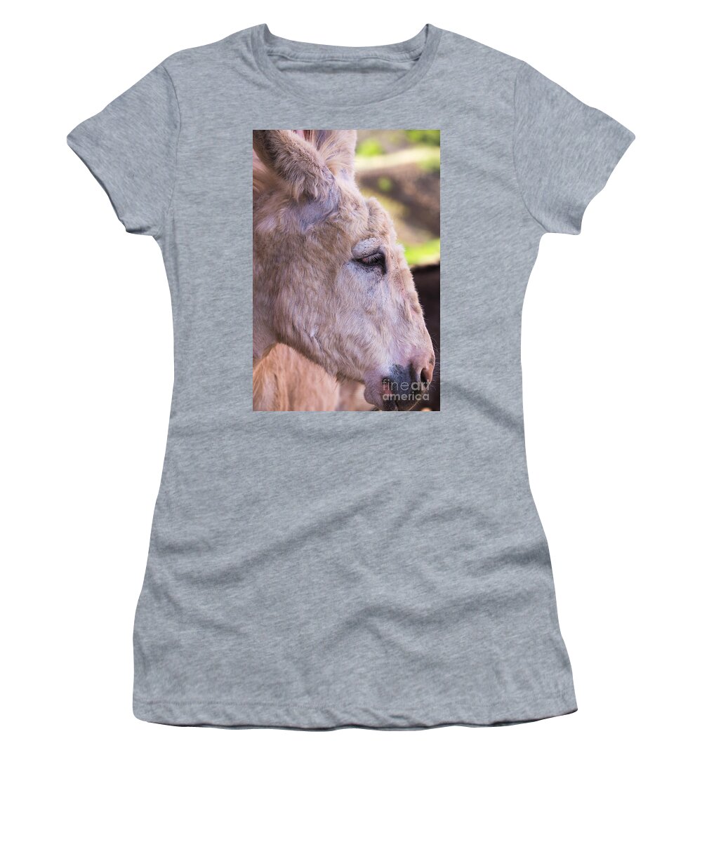 Donkey Women's T-Shirt featuring the photograph Cripple Creek Donkey by Lynn Sprowl