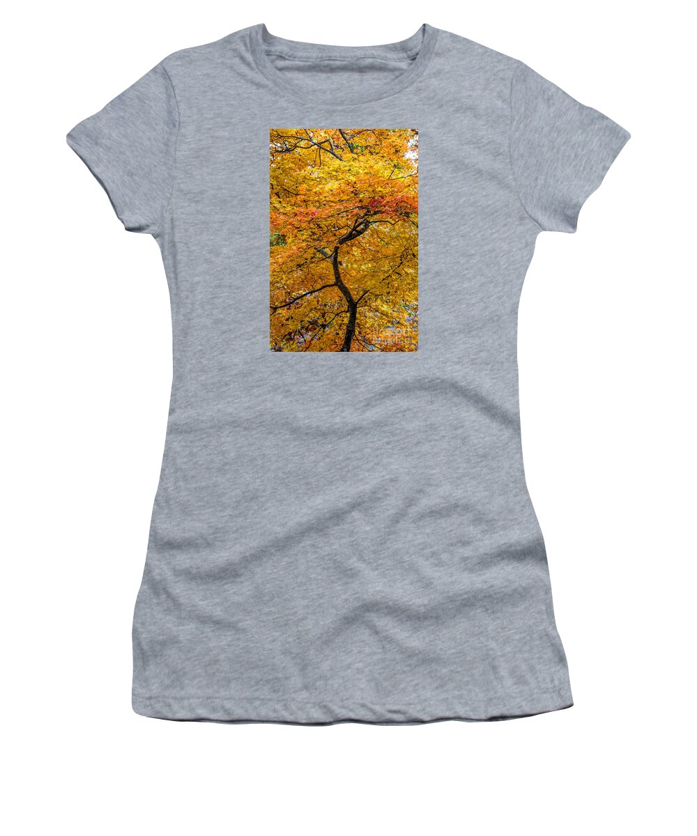 Fall Women's T-Shirt featuring the photograph Crooked Tree Trunk by Barbara Bowen