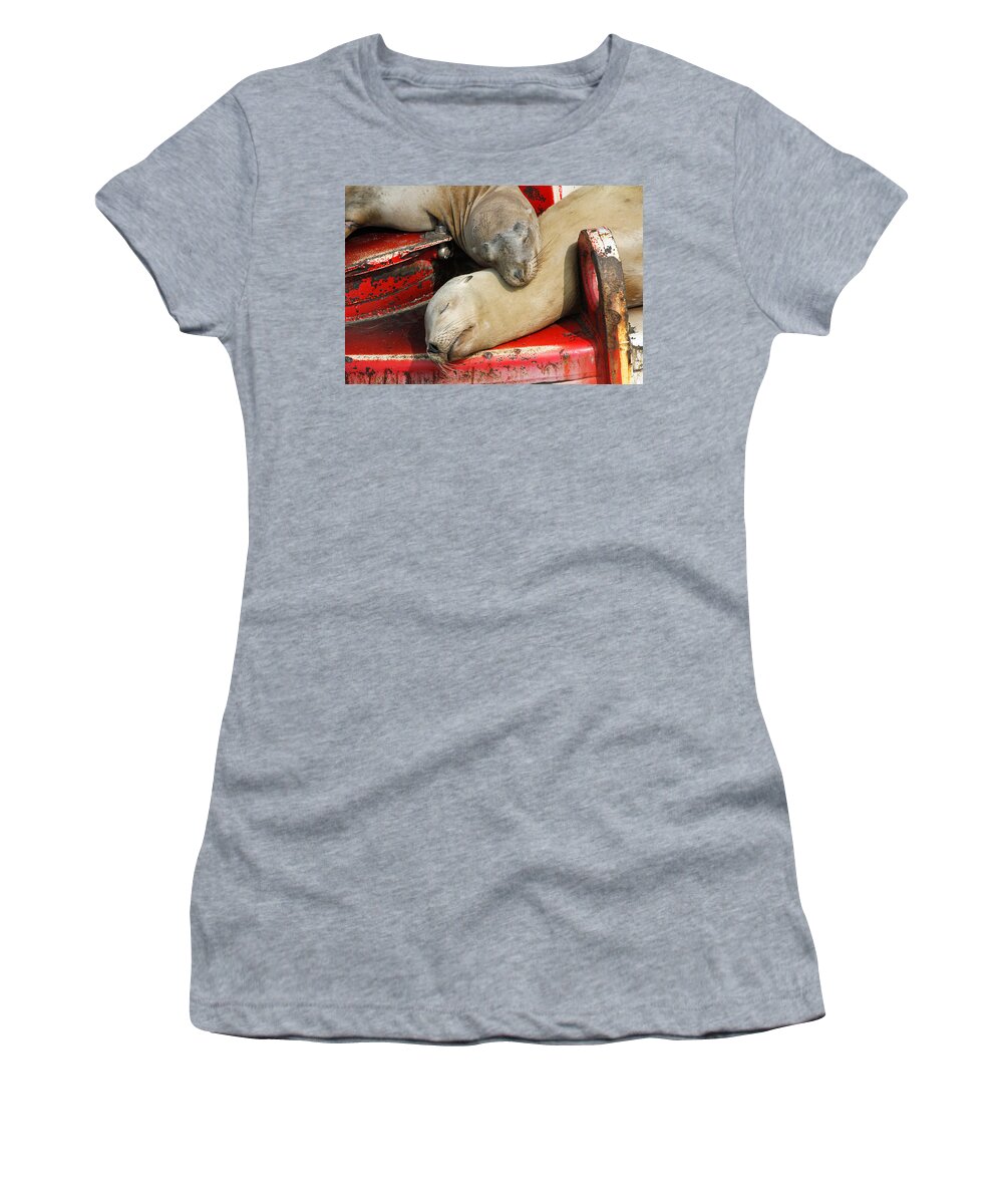 Sea Lions Women's T-Shirt featuring the pyrography Cuddle Buddies by Shoal Hollingsworth