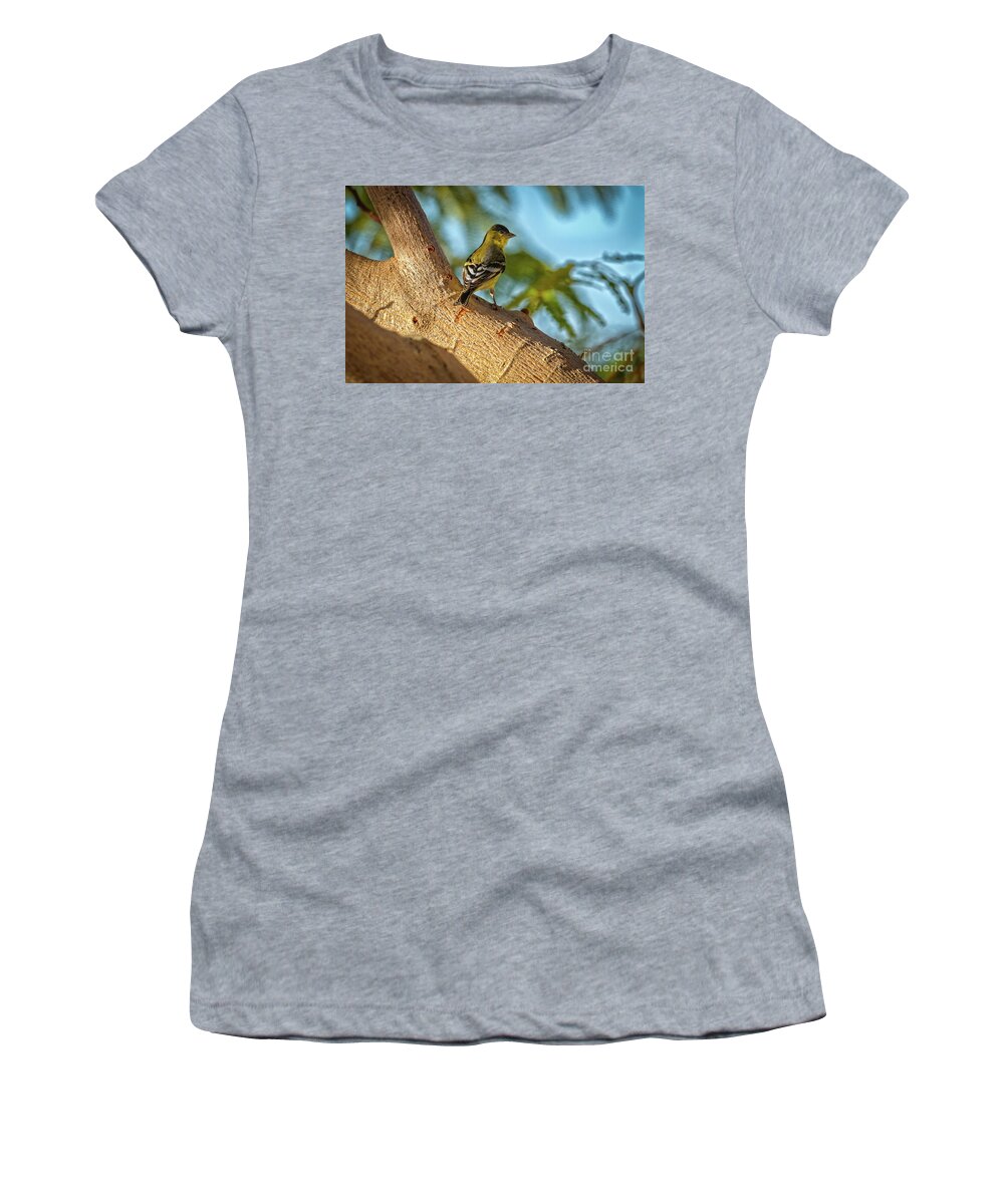  Yellow Women's T-Shirt featuring the photograph Curious Goldfinch by Robert Bales
