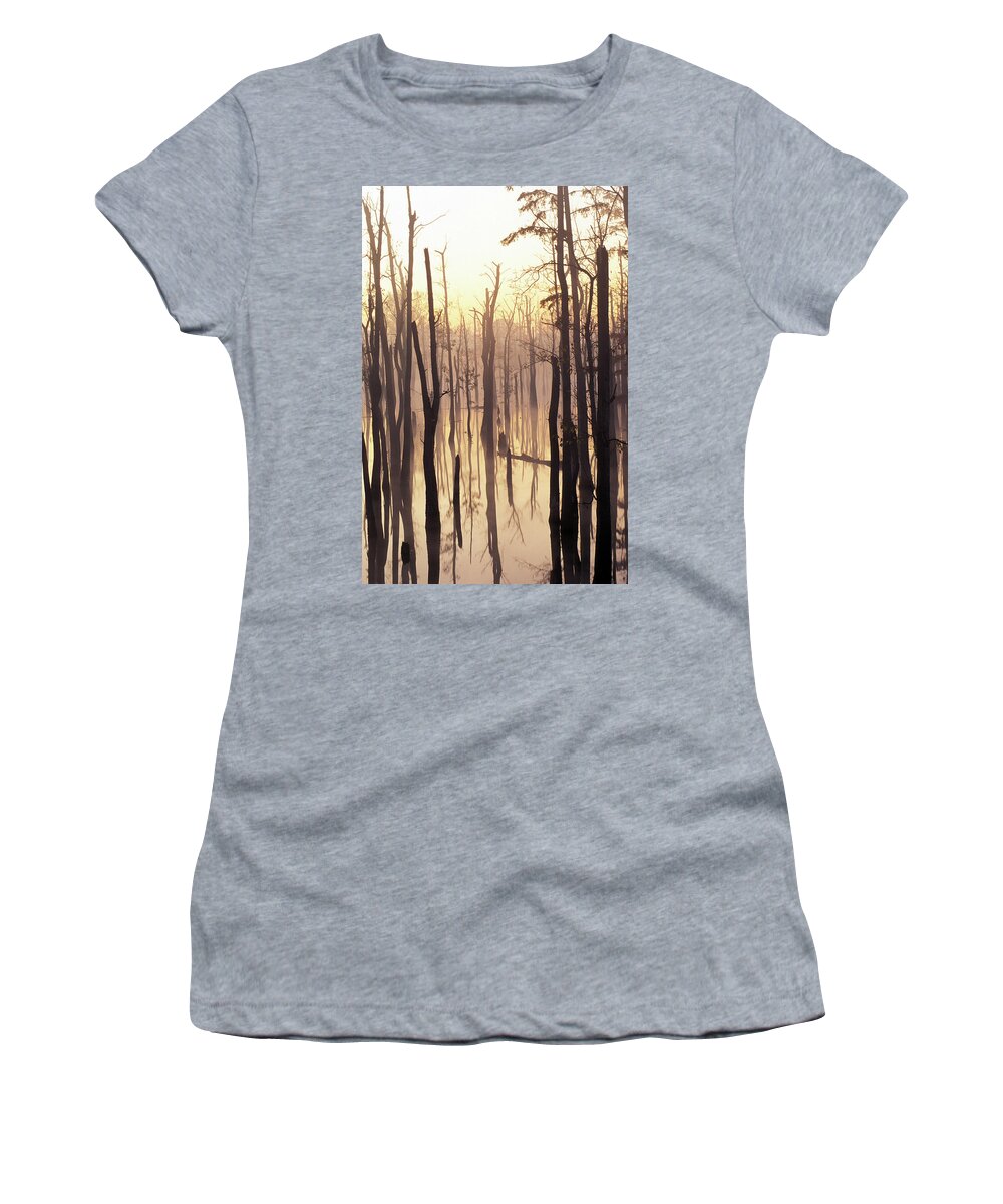 Cypress Women's T-Shirt featuring the photograph Cypress Swamp by James C Richardson