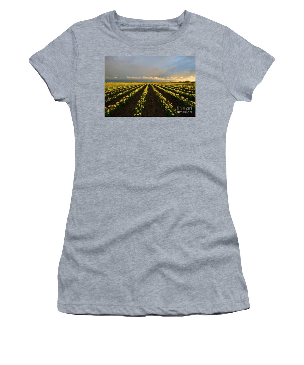 Daffodil Farm Women's T-Shirt featuring the photograph Daffodil Storm by Michael Dawson