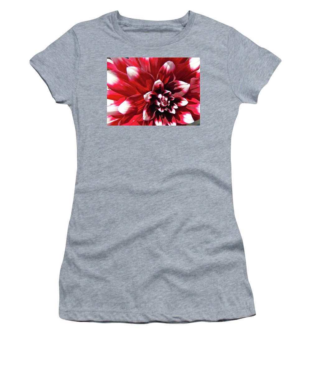 Floral Women's T-Shirt featuring the photograph Dahlia Defined by Randy Rosenberger