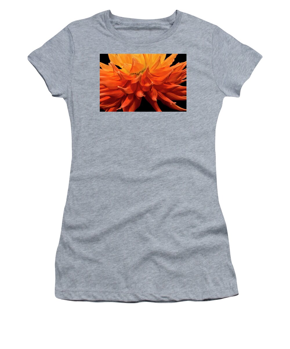 Plant Women's T-Shirt featuring the photograph Dahlia Flower Closeup by Randall Nyhof