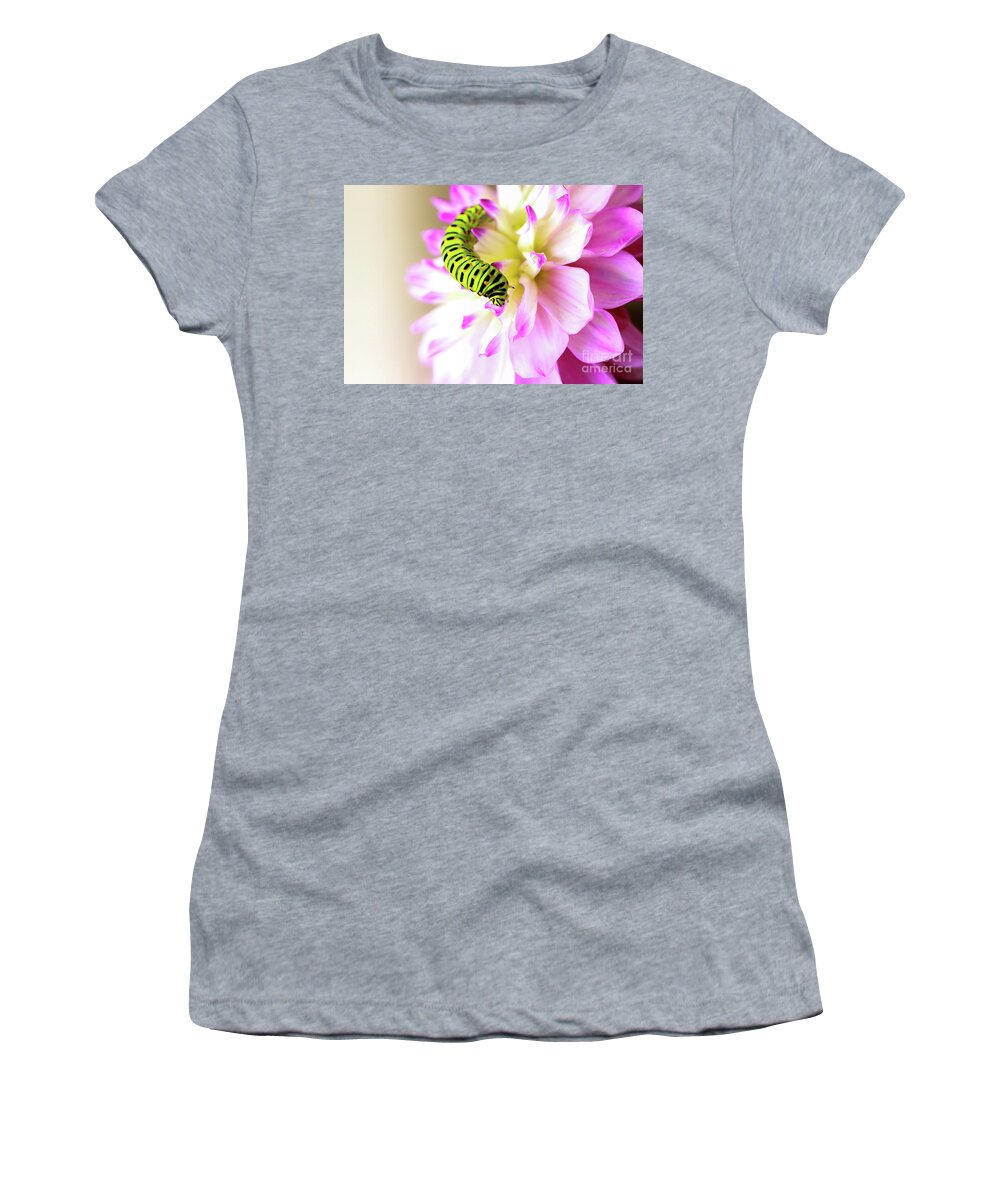 Dahlia Women's T-Shirt featuring the photograph Dahlia with Caterpillar by Amanda Mohler