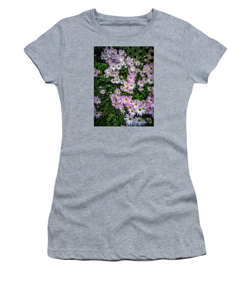 Daisy Women's T-Shirt featuring the photograph Daisy Patch by David Smith